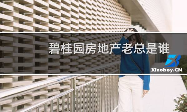 碧桂园房地产老总是谁