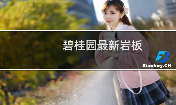 碧桂园最新岩板