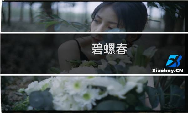 碧螺春 如何泡
