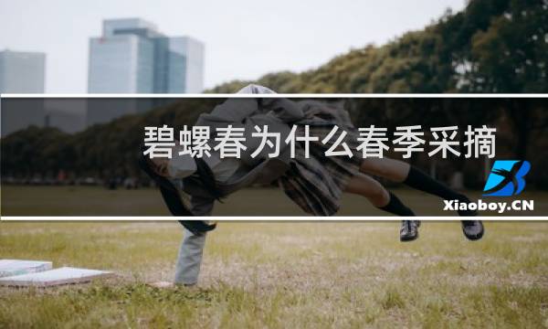 碧螺春为什么春季采摘