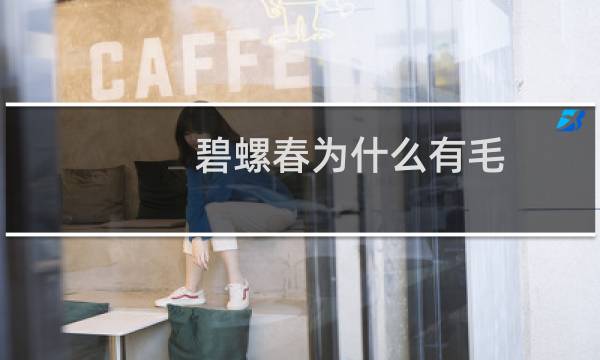 碧螺春为什么有毛