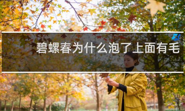 碧螺春为什么泡了上面有毛