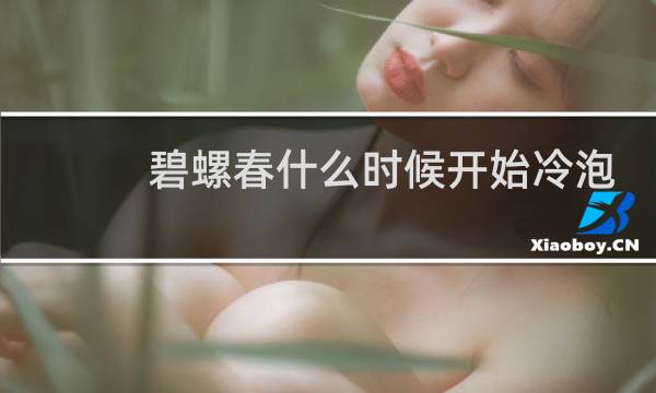 碧螺春什么时候开始冷泡