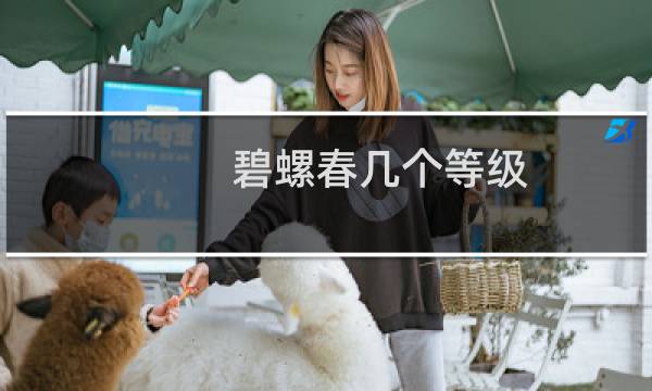 碧螺春几个等级