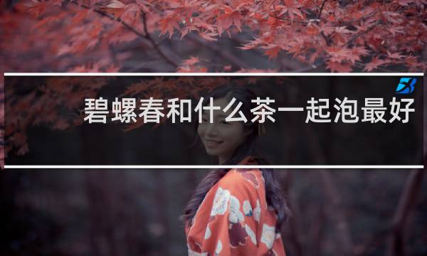碧螺春和什么茶一起泡最好