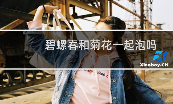 碧螺春和菊花一起泡吗