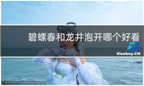 碧螺春和龙井泡开哪个好看
