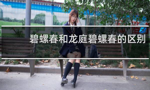 碧螺春和龙庭碧螺春的区别