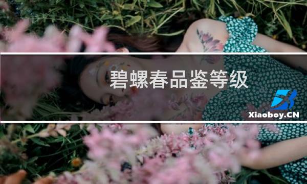 碧螺春品鉴等级