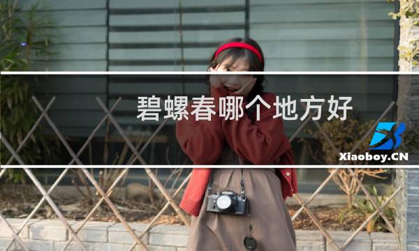 碧螺春哪个地方好