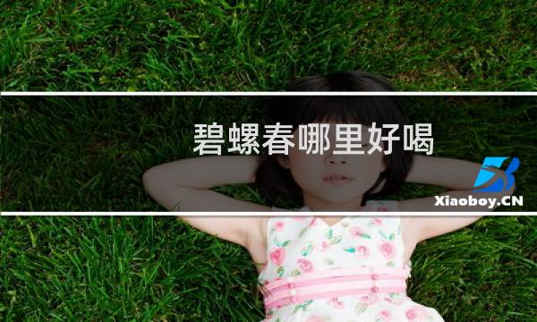 碧螺春哪里好喝