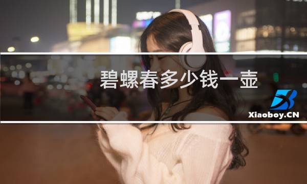 碧螺春多少钱一壶