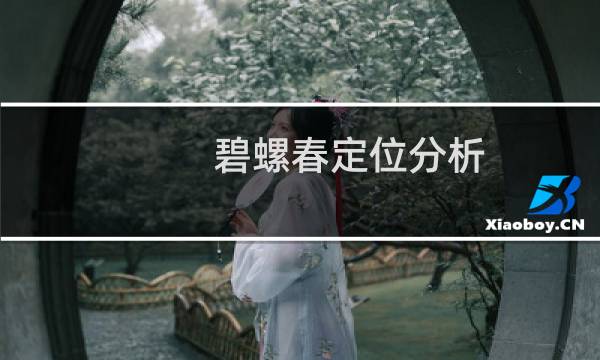 碧螺春定位分析