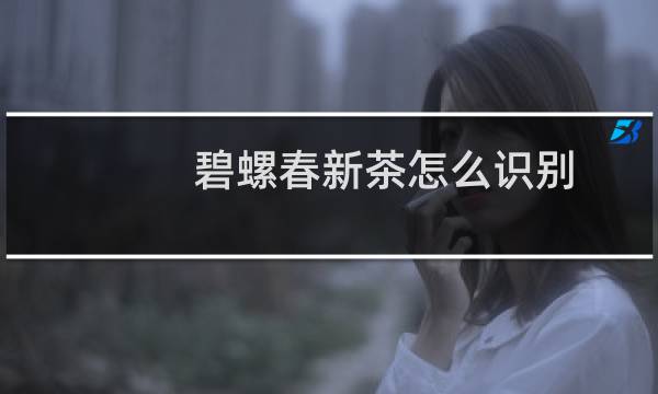碧螺春新茶怎么识别