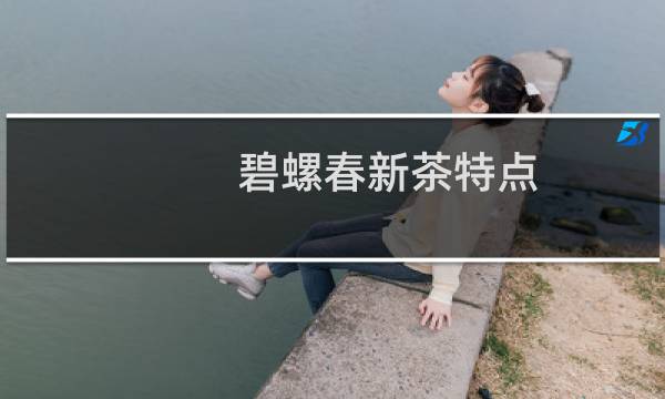 碧螺春新茶特点