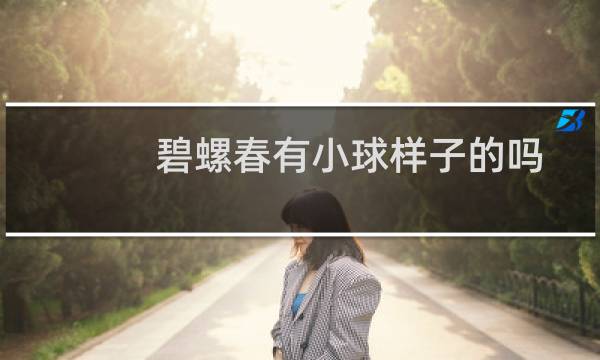 碧螺春有小球样子的吗