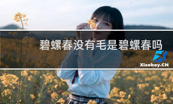 碧螺春没有毛是碧螺春吗