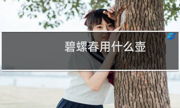 碧螺春用什么壶
