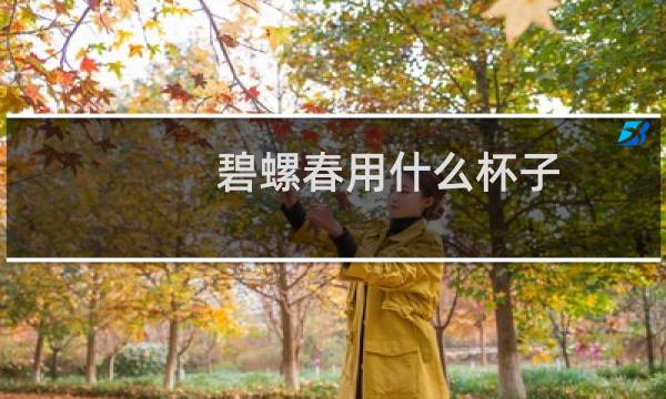 碧螺春用什么杯子