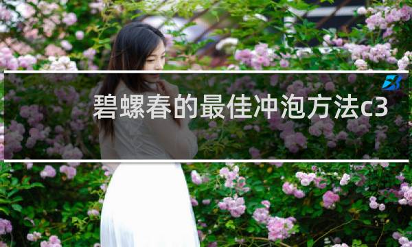 碧螺春的最佳冲泡方法c3