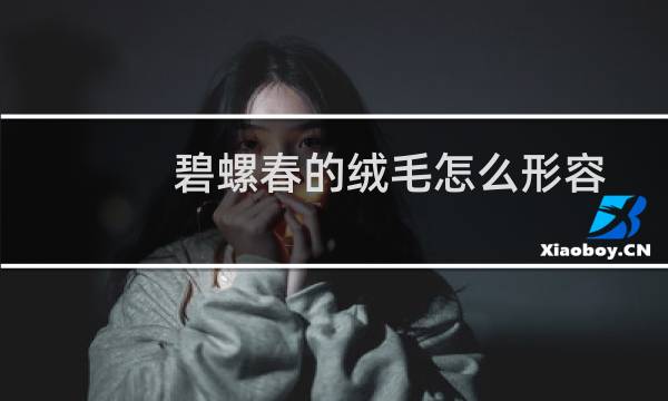 碧螺春的绒毛怎么形容