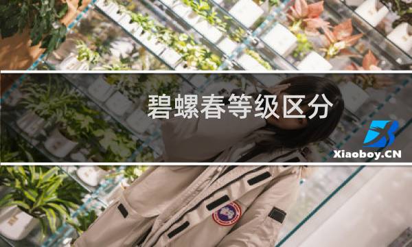 碧螺春等级区分