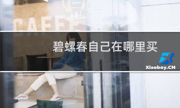 碧螺春自己在哪里买