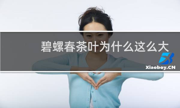 碧螺春茶叶为什么这么大