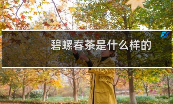 碧螺春茶是什么样的