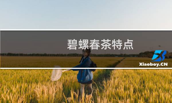 碧螺春茶特点