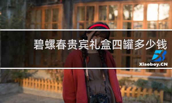 碧螺春贵宾礼盒四罐多少钱