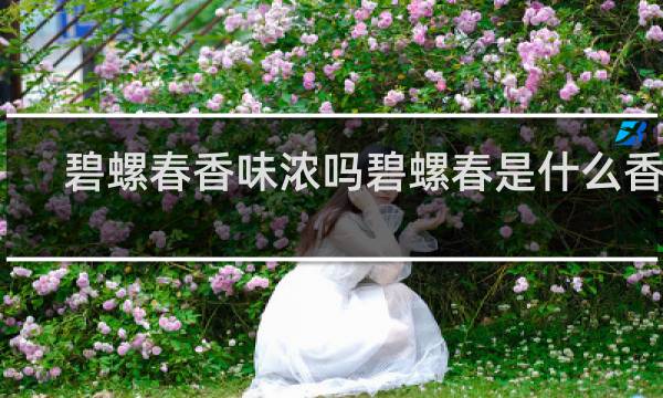 碧螺春香味浓吗碧螺春是什么香味