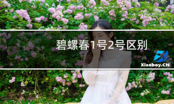 碧螺春1号2号区别