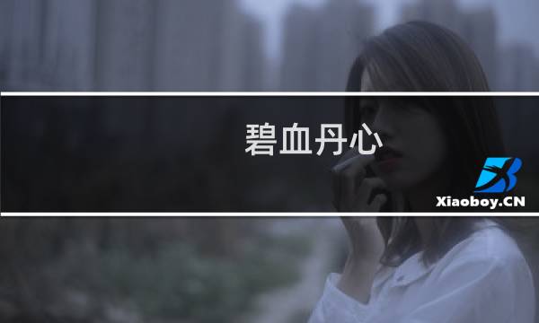 碧血丹心 沈澜攻略