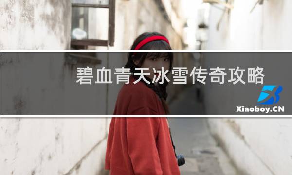 碧血青天冰雪传奇攻略