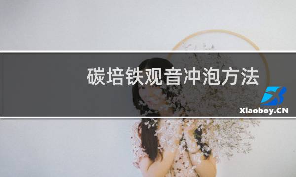 碳培铁观音冲泡方法