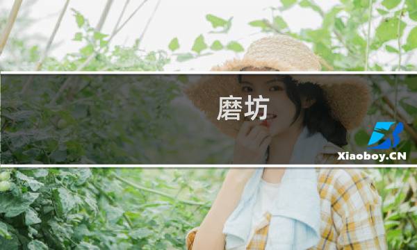 磨坊 攻略