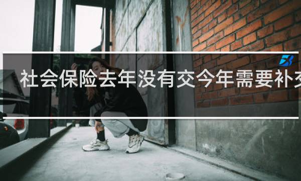 社会保险去年没有交今年需要补交吗