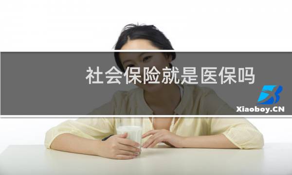 社会保险就是医保吗