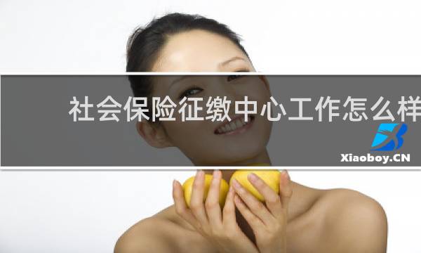 社会保险征缴中心工作怎么样