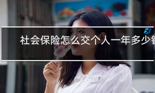 社会保险怎么交个人一年多少钱