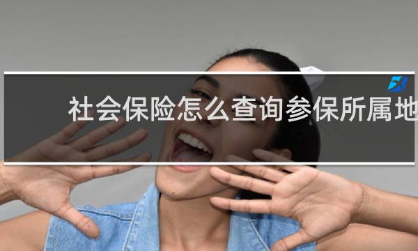 社会保险怎么查询参保所属地