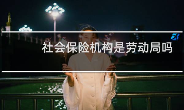 社会保险机构是劳动局吗