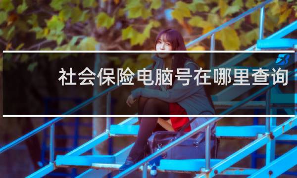 社会保险电脑号在哪里查询