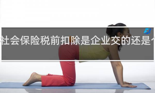 社会保险税前扣除是企业交的还是个人交