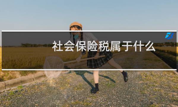 社会保险税属于什么