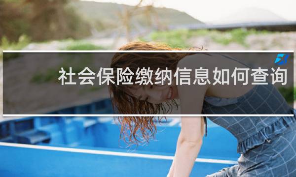社会保险缴纳信息如何查询