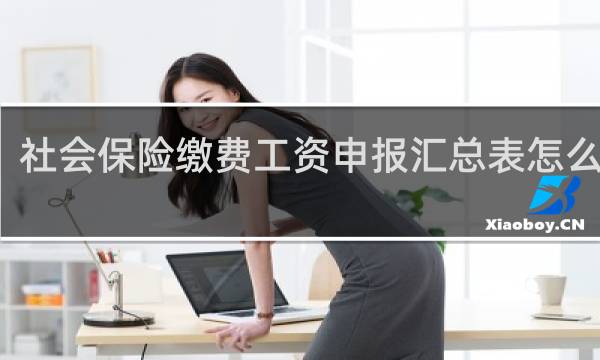 社会保险缴费工资申报汇总表怎么上传