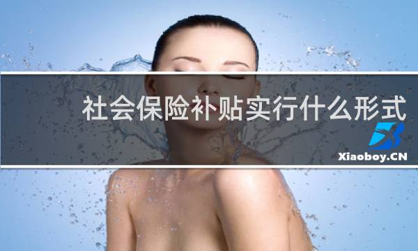 社会保险补贴实行什么形式