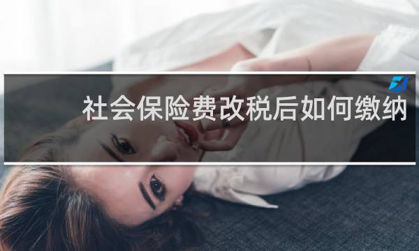 社会保险费改税后如何缴纳
